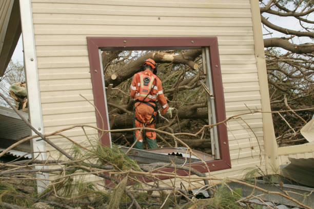Best Commercial Tree Services  in Eden Prairie, MN